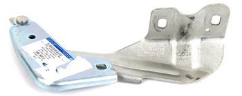 Zawias maski lewy Edge 2015- / 2018- -  FT4B-R16801-AC , 2049593, oryginał Ford OE