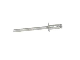 Nit 4.8x12mm mocowanie ślizgu zderzaka Mondeo Focus C-max - W702616-S437, 1237076, oryginał Ford OE