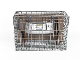 Poduszka powietrzna fotela kierowcy Fiesta 17- -  H1BB-A611D11-AF, 2511514, oryginał Ford OE