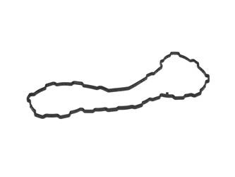 Uszczelka misy olejowej Transit/tourneo Connect 13- -  CT1Q-6710-AA, 1830726, oryginał Ford OE