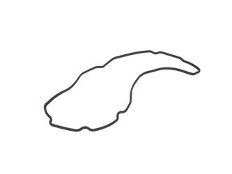 Uszczelka misy skrzyni biegów 6f mid-range Ford oe -  FG9P-7F396-AA , 5325781, oryginał Ford OE