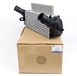 Chłodnica powietrza intercooler Ecosport 17- Fiesta 17- 1,0 eb -  H1BG-6K775-AC , 2163154, oryginał Ford OE
