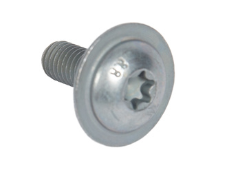 Śruba - 5255526, oryginał Ford OE