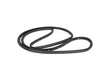 Uszczelka lewa drzwi przód S-max 15- - GM2B-R20531-AA, 2036545, oryginał Ford OE