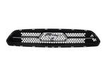 Grill przód Mustang 2015 wersja na 50-lecie -  FR3B-8200-DF5YZ9 , 1927987, oryginał Ford OE