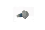 Śruba zawiasu drzwi Focus 04-08 C-max 03-07 -  W712181-S442, 1424162, oryginał Ford OE